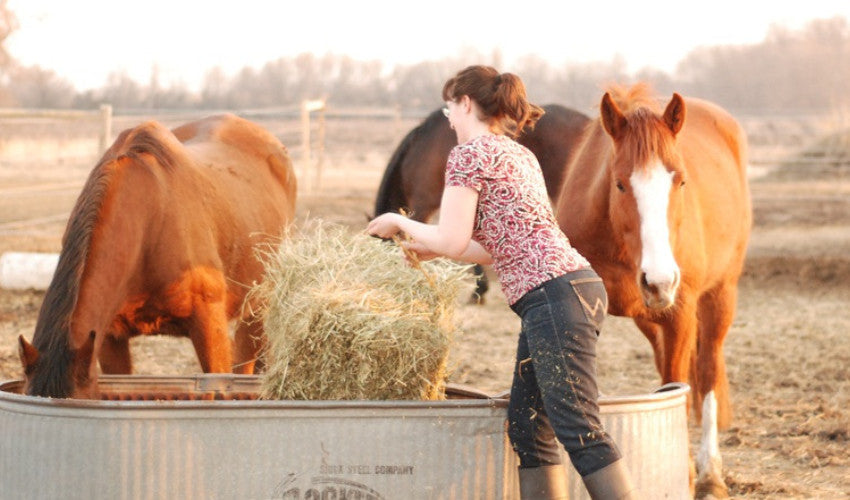 Group Feeding Tips for Small Facilities
