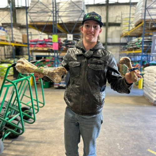 Roger's staff holding two bones inside of the store