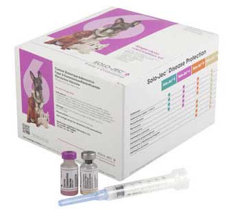 Solo-Jec 6 1 Dose Syringe for Canine