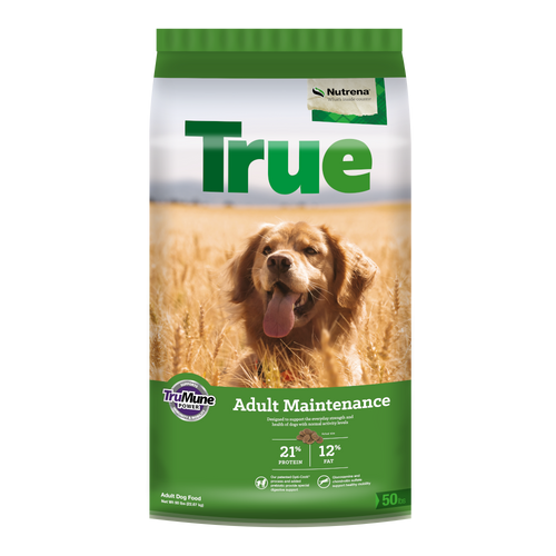 What is Adult Maintanance Dog Food: Ultimate Guide for Healthy Pets