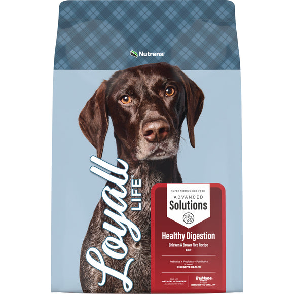Nutrena® Loyall Life® Advanced Solutions Healthy Digestion Chicken & Rice Recipe Adult Dog Food