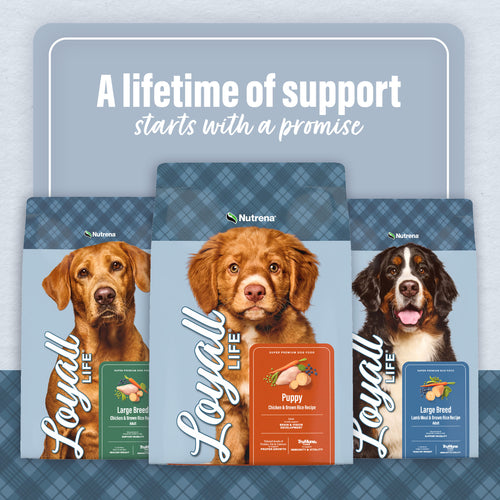 Nutrena® Loyall Life® Large Breed Puppy Chicken & Brown Rice Recipe