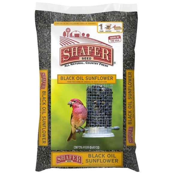 Shafer Black Oil Sunflower Seed